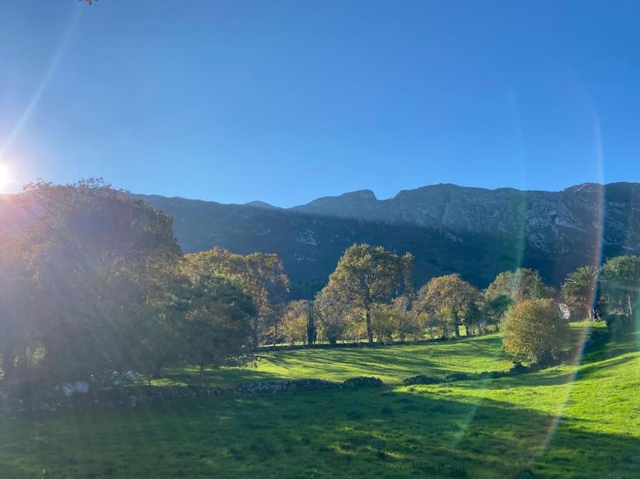 El Nido Villa Llanes Kültér fotó